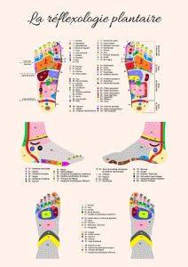 affiche de réflexologie plantaire - Édulys Formation