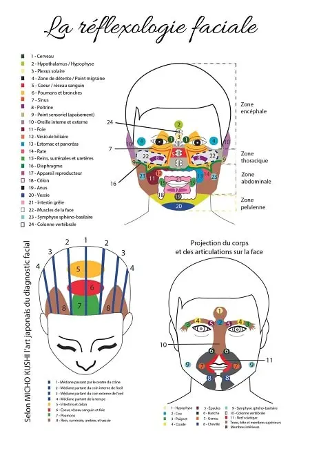 carte de réflexologie faciale crânienne - École Édulys Formation