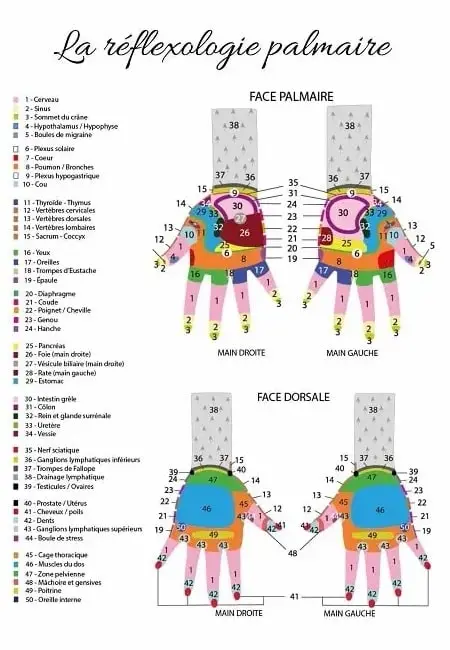 carte de réflexologie palmaire - École Édulys Formation