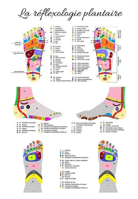 carte de réflexologie plantaire - École Édulys Formation