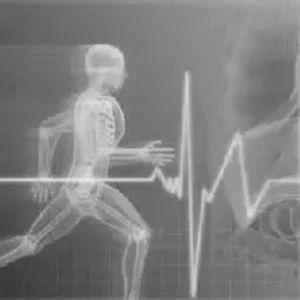 Formation anatomie physiologie - Édulys formation bien-être