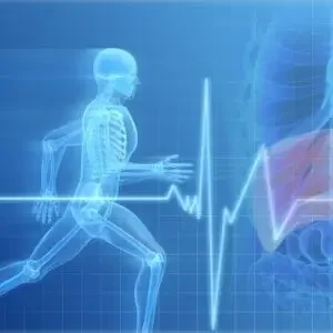 Cours d'anatomie et de physiologie du corps humain en ligne